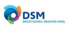 dsm-logo-jpg-version