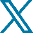 X Logo Blue